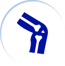 Icon 1